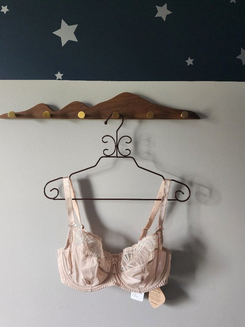 NWT Fantasie Adelle Side Support Bra Natural Beige 34DD